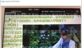 爆料河北密访视频大全,视频大全背后的真相与内幕
