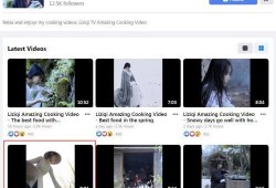 网友爆料越南视频下载,网友爆料揭秘热门下载攻略