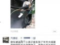 怎么爆料偷盗视频的人,勇敢市民如何巧妙曝光不法行为