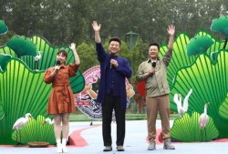 李姓明星爆料最新视频,揭秘娱乐圈不为人知的秘密