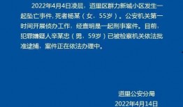 新城最新爆料新闻视频播放,最新爆料新闻视频深度解析