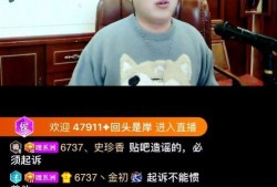 粤东事件爆料视频大全集,揭秘真相与争议