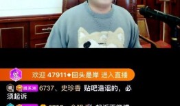 粤东事件爆料视频大全集,揭秘真相与争议