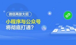 小程序爆料视频号违法吗,法律边界何在？