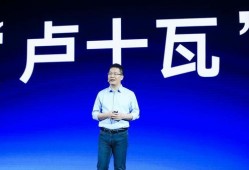 今日爆料卢伟冰简介视频,揭秘手机行业领军人物背后的故事