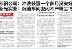 邢钢最新爆料新闻,揭秘企业转型背后的故事