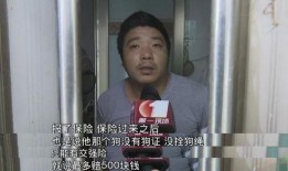 东莞黄女士爆料最新,揭秘某知名企业惊人内幕！