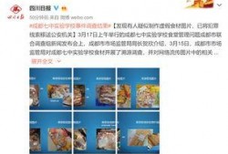 成都爆料家长事件视频最新,校园冲突背后的家庭矛盾与教育反思